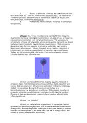 Bakterijos ir virusai 6 puslapis