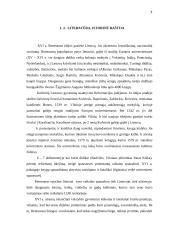 Renesanso kultūra ir jos charakteristika 7 puslapis