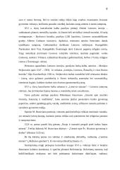 Renesanso kultūra ir jos charakteristika 8 puslapis