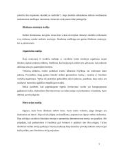 Biheivioristinės teorijos 5 puslapis