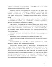 Biheivioristinės teorijos 9 puslapis