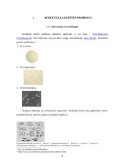 Bordetella 4 puslapis