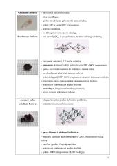 Chemija žmogaus gyvenime: Fosforas 7 puslapis