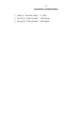 Darbo sutartis 13 puslapis