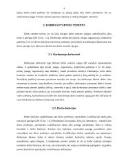 Darbo sutartis 3 puslapis