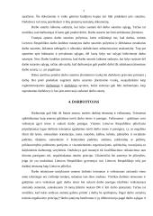 Darbo sutartis 6 puslapis