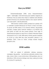 Deoksiribonukleorūgštis 4 puslapis