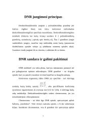 Deoksiribonukleorūgštis 5 puslapis