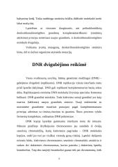 Deoksiribonukleorūgštis 6 puslapis
