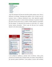 Dienraščiai internete 3 puslapis