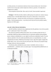 Dygiaodžiai 11 puslapis