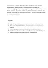 Dygiaodžiai 17 puslapis