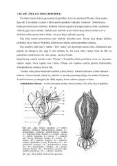 Dygiaodžiai 4 puslapis