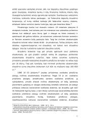 Draudimo sudėtinės dalys 12 puslapis