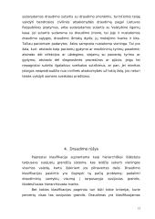 Draudimo sudėtinės dalys 13 puslapis