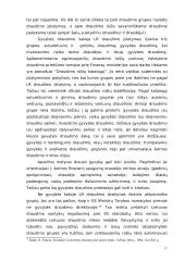 Draudimo sudėtinės dalys 17 puslapis