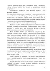 Draudimo sudėtinės dalys 19 puslapis