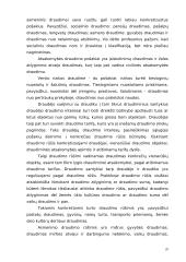 Draudimo sudėtinės dalys 20 puslapis
