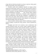Draudimo sudėtinės dalys 5 puslapis
