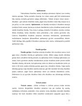 Draudimo sutartis ir jos sudarymas 11 puslapis