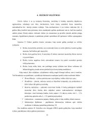 Ekonominės rizikos analizė ir valdymas: UAB "Alita" 14 puslapis