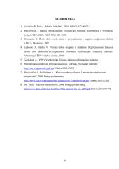 Ekonominės rizikos analizė ir valdymas: UAB "Alita" 19 puslapis