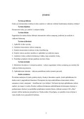 Ekonominės rizikos analizė ir valdymas: UAB "Alita" 2 puslapis