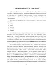 Ekonominės rizikos analizė ir valdymas: UAB "Alita" 6 puslapis