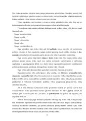 Ekonominės rizikos analizė ir valdymas: UAB "Alita" 7 puslapis