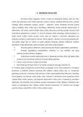 Ekonominės rizikos analizė ir valdymas: UAB "Alita" 8 puslapis