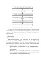 Ekonominės rizikos analizė ir valdymas: UAB "Alita" 9 puslapis