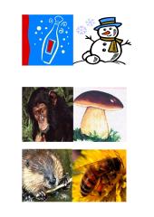 Garso "B" įtvirtinimas žodžiuose, rišlioje kalboje 9 puslapis