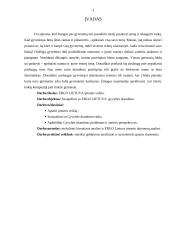 Įmonės veikla: draudimas "ERGO Lietuva" 2 puslapis