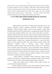 Įmonės veikla: draudimas "ERGO Lietuva" 12 puslapis