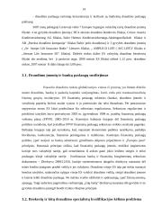 Įmonės veikla: draudimas "ERGO Lietuva" 13 puslapis