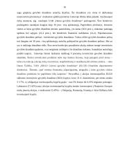 Įmonės veikla: draudimas "ERGO Lietuva" 15 puslapis