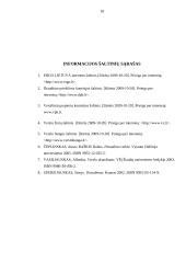 Įmonės veikla: draudimas "ERGO Lietuva" 17 puslapis