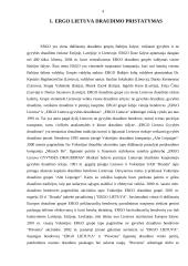 Įmonės veikla: draudimas "ERGO Lietuva" 3 puslapis