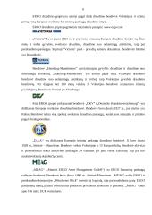 Įmonės veikla: draudimas "ERGO Lietuva" 5 puslapis