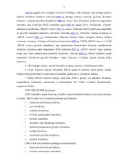 Įmonės veikla: draudimas "ERGO Lietuva" 6 puslapis