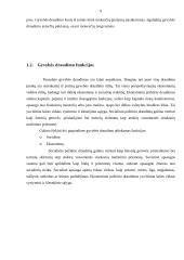 Įmonės veikla: draudimas "ERGO Lietuva" 8 puslapis