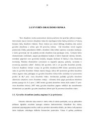 Įmonės veikla: draudimas "ERGO Lietuva" 9 puslapis