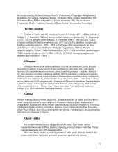 Indijos vandenynas 13 puslapis