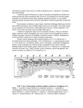 Indijos vandenynas 7 puslapis