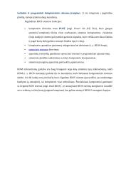 Kompiuterio atmintis 6 puslapis