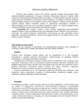 Ląstelių dalinimosi būdai 6 puslapis