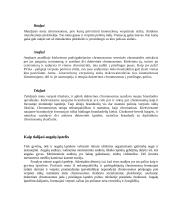 Ląstelių dalinimosi būdai 7 puslapis