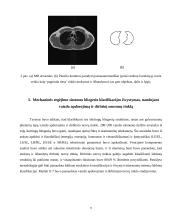 Neurologijos tyrimai 5 puslapis