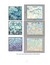 Neurologijos tyrimai 6 puslapis