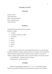 Paukščių salmoneliozė 3 puslapis